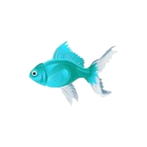 Aquamarine Goldfish